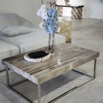 The Timeless Elegance of Petrified Wood for Modern Interiors