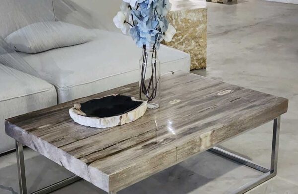 The Timeless Elegance of Petrified Wood for Modern Interiors