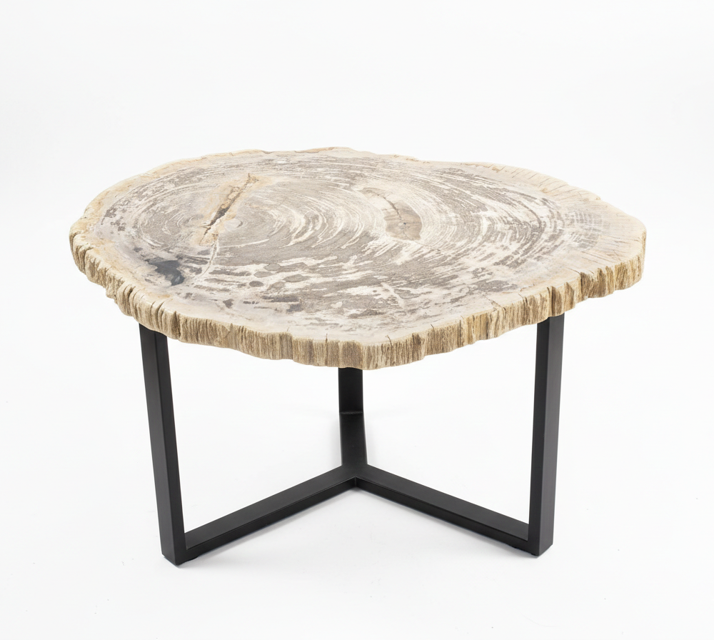 Petrified Wood End Table - TB074
