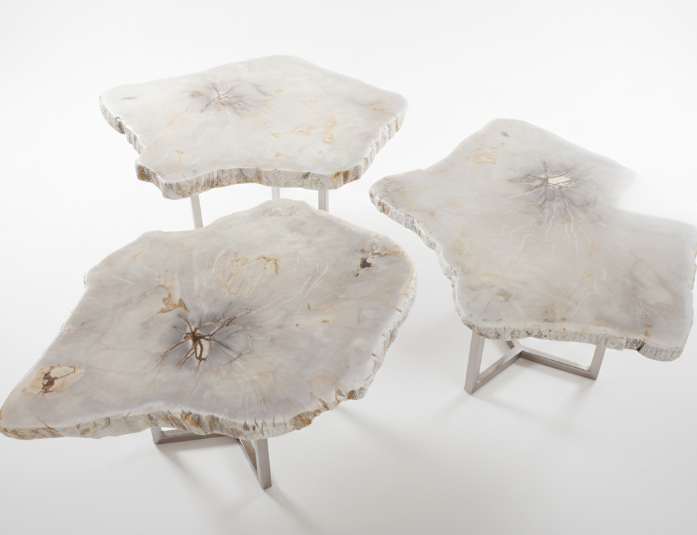 Petrified Wood End Table - TB078