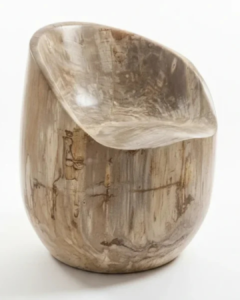 Petrified Natural Chair - CH001