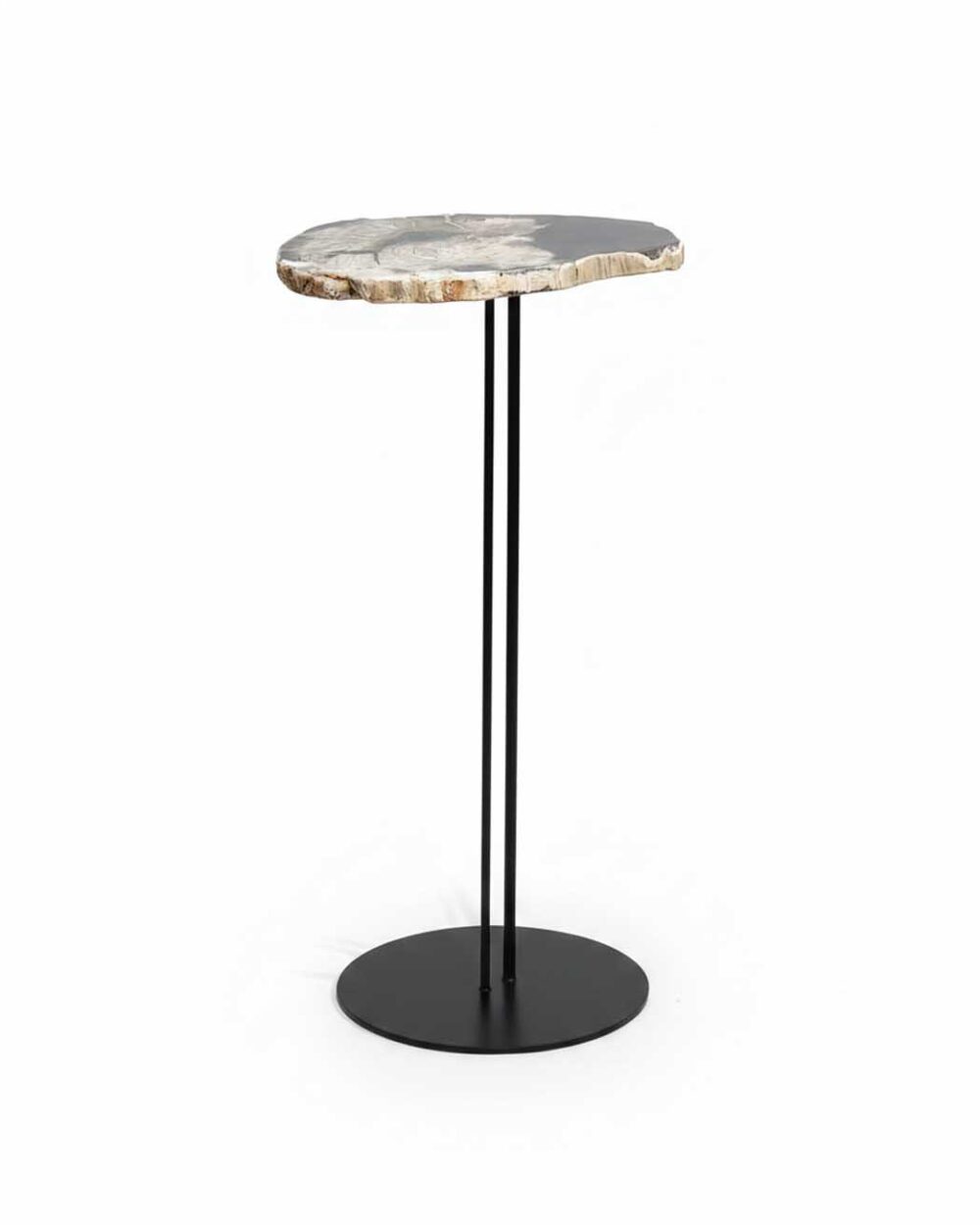 Petrified Wood End Table - TB064