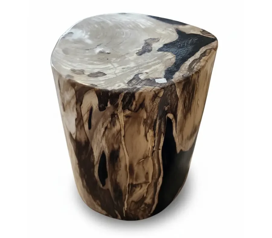 Petrified Wooden Stool -ST055