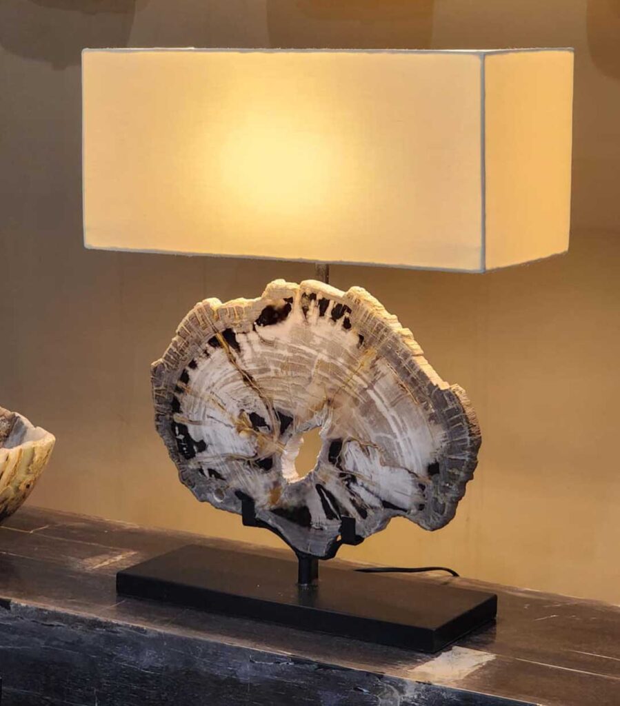 petrified wood in Bali