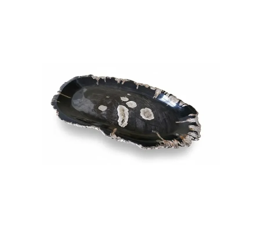 Natural Petrified Plate - PL048