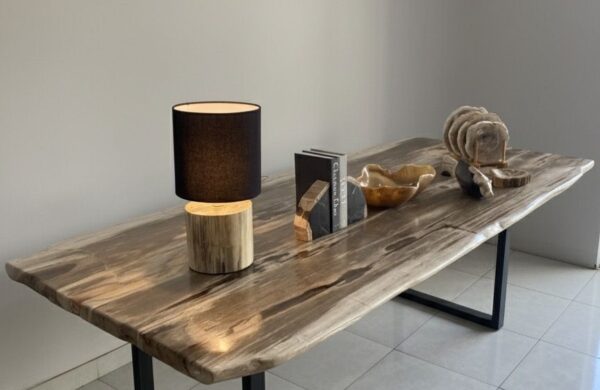 5 Recommended Coffee Table Styles with Petrified Wood