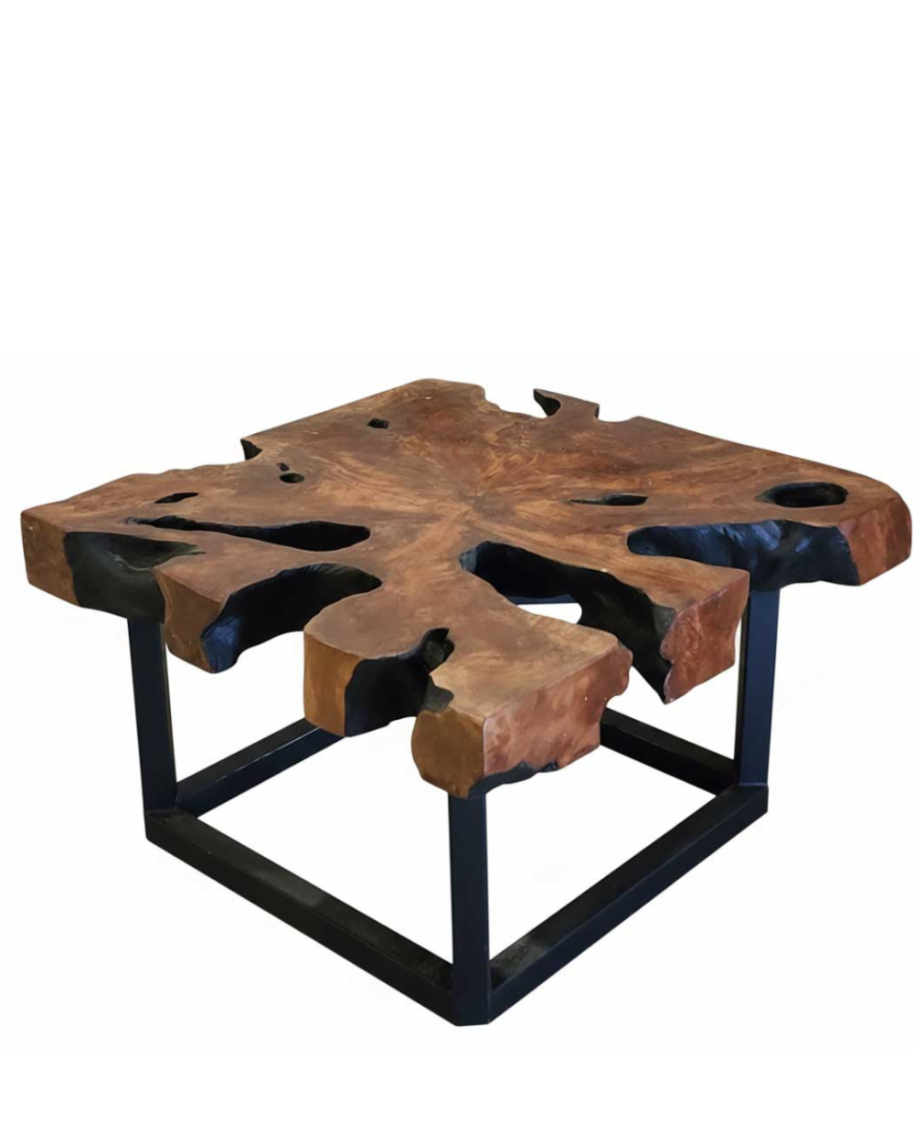 Petrified Wood Coffee Table
