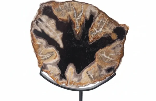 Slab - S0037 Petrified Wooden Slab, Peak of Interior Decoration