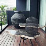 About Us Bali petrified wood