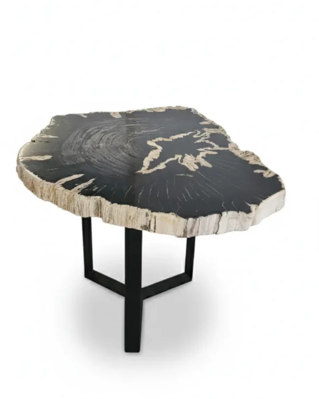 Petrified Wood Side Table - TB088