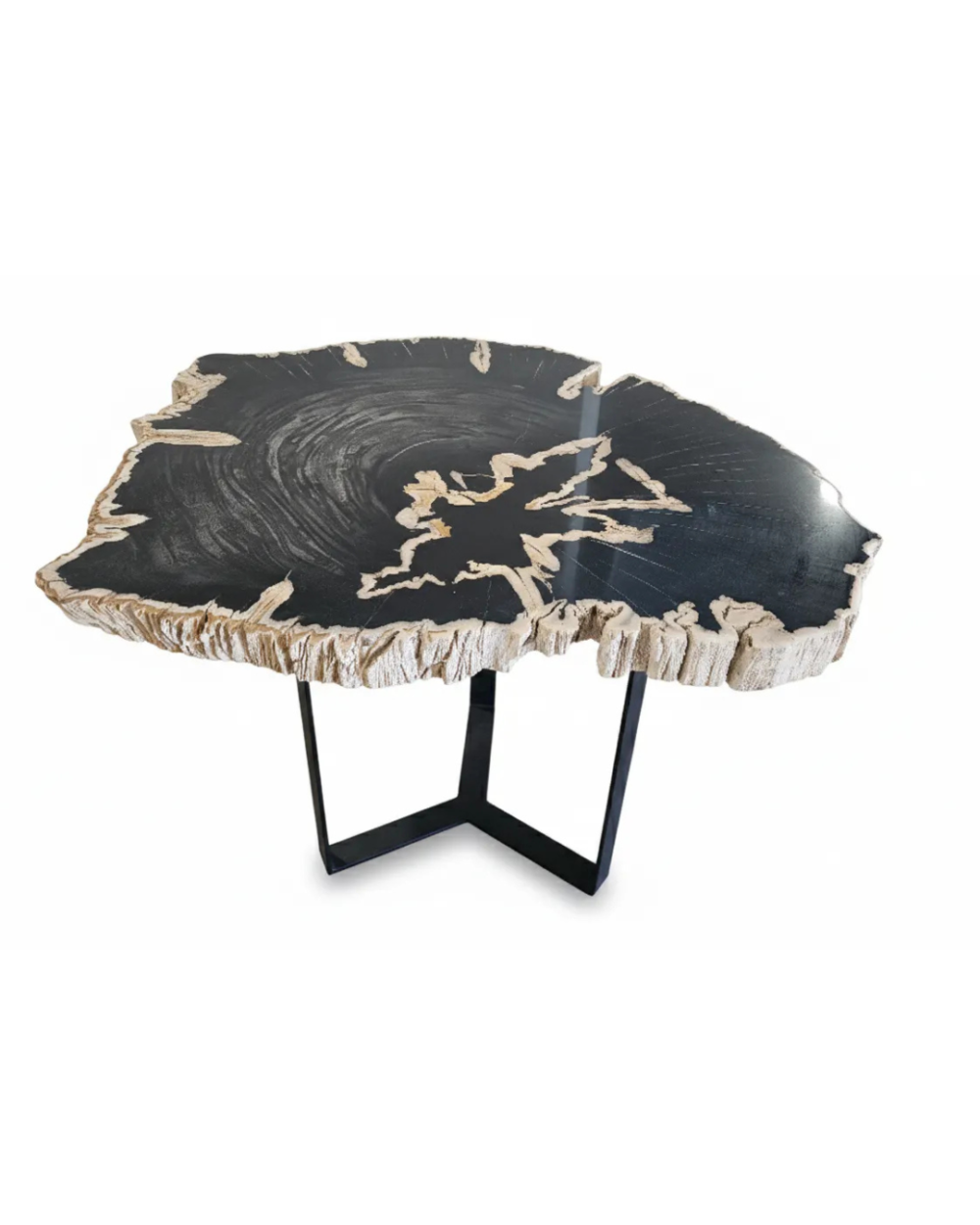 Petrified Wood Side Table - TB089