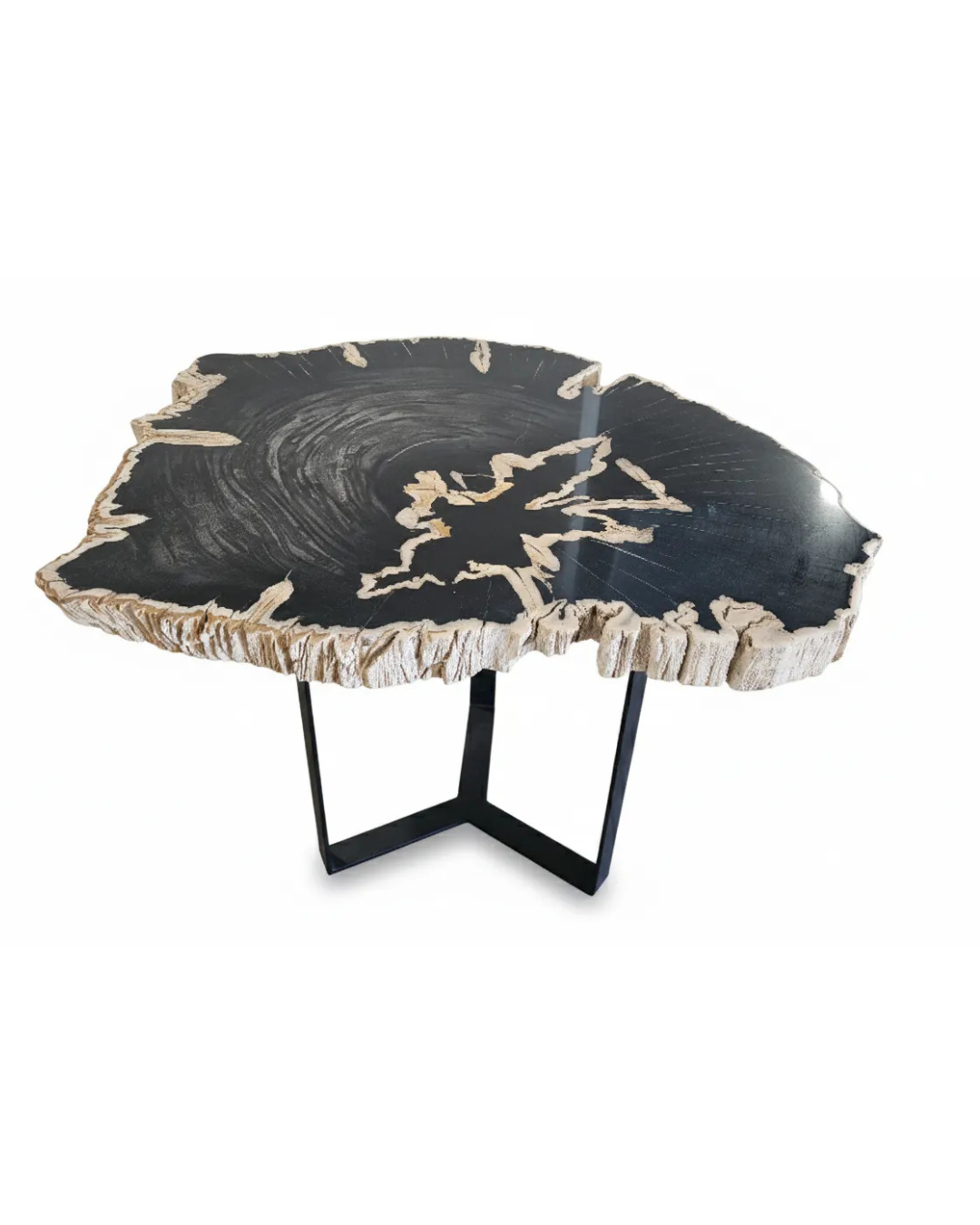 Petrified Wood Side Table - TB089