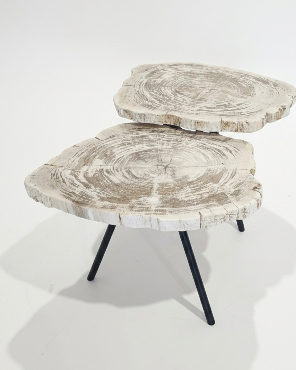 Petrified Wood Side Table - TB087