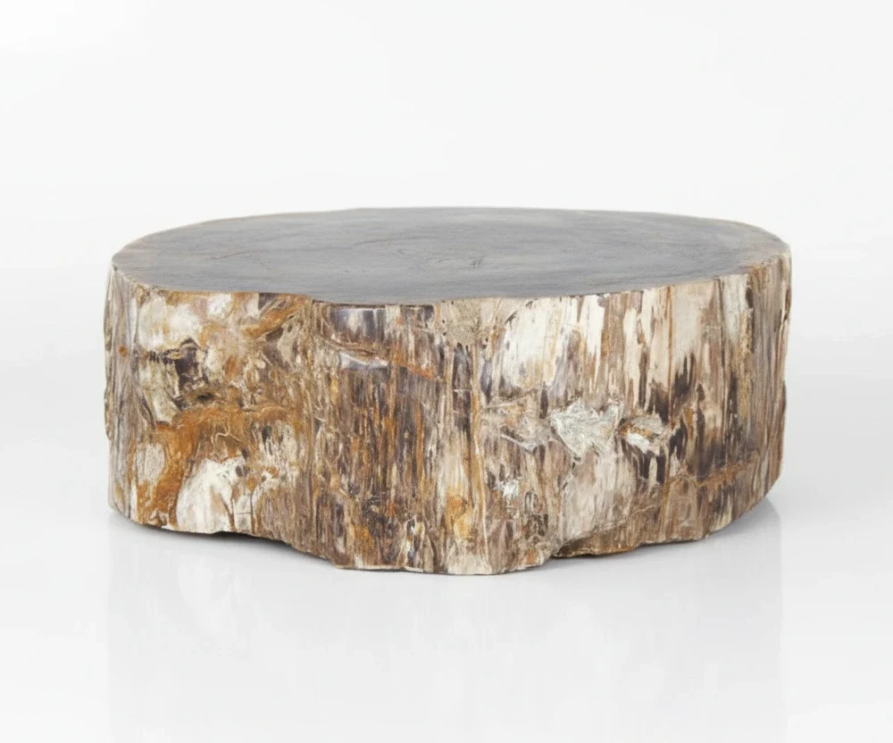 Petrified Wood Coffee Table