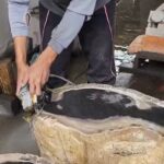 How Does Petrified Wood Form? Complete Fossilization Process Guide
