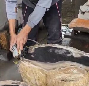 How Does Petrified Wood Form? Complete Fossilization Process Guide