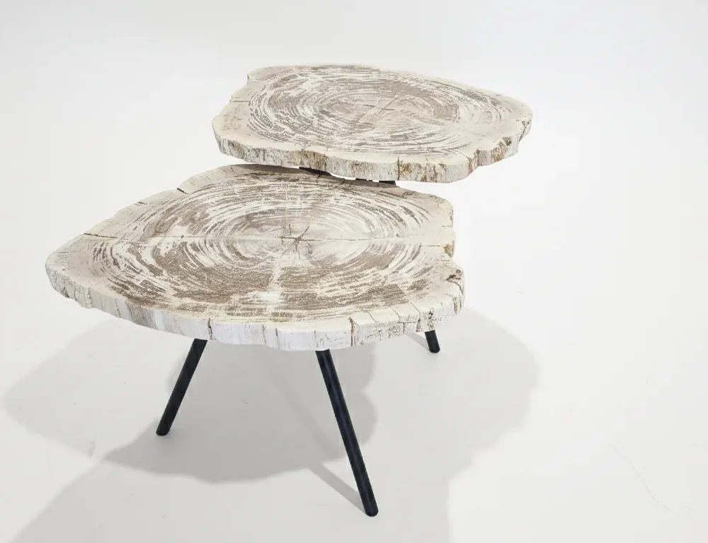 Petrified Wood Side Table - TB087