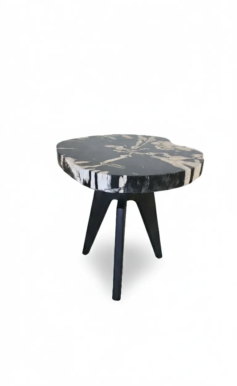 Petrified Wood Side Table - TB086