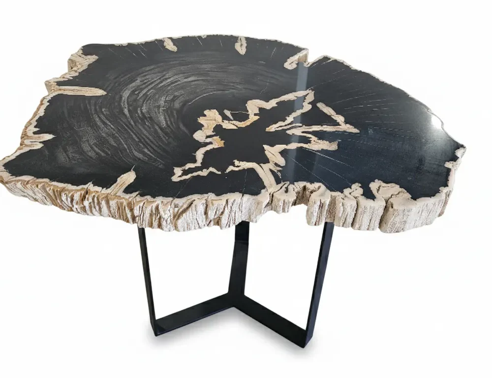 Petrified Wood Side Table – TB089