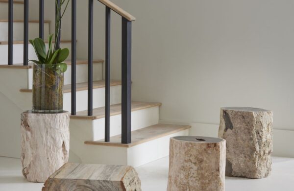 Unpacking 3 Differences Between Onyx and Petrified Wood