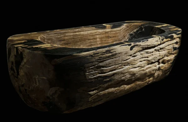 1.7 Million USD Worth of Petrified Wood Bathtub
