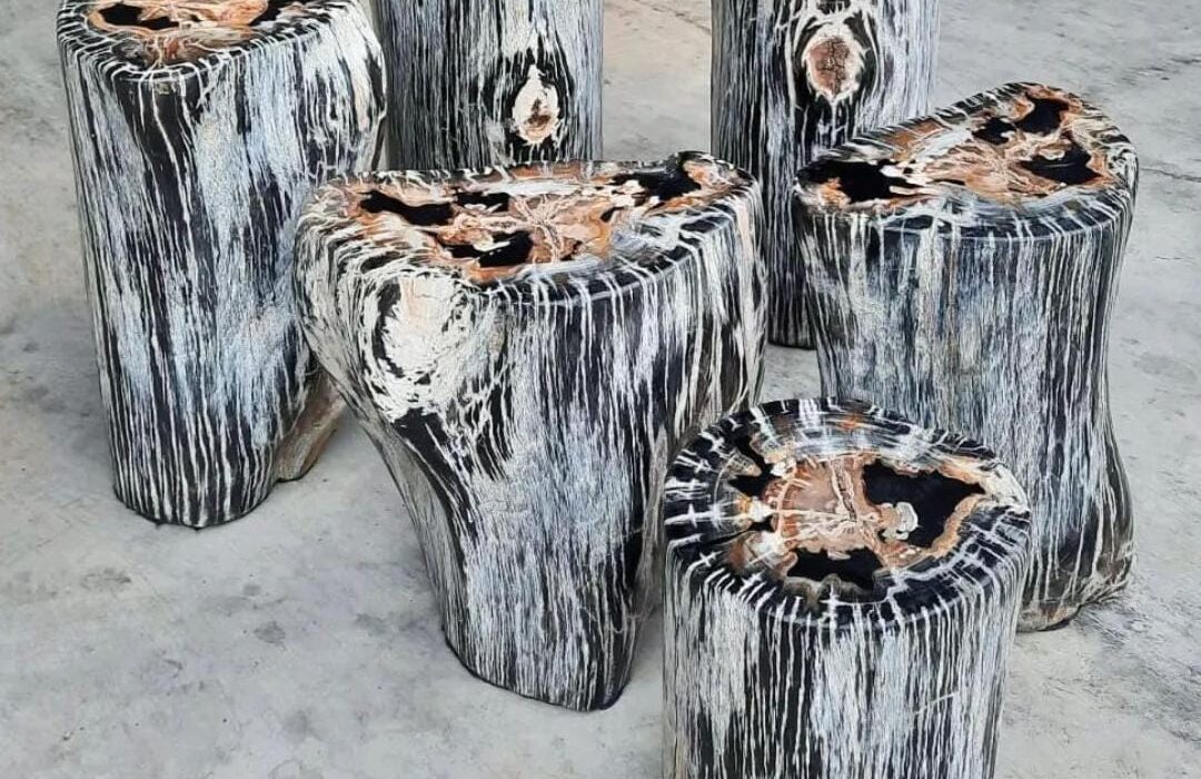 How to Care for Petrified Wood Furniture Properly