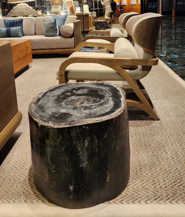 Petrified Wood Stool