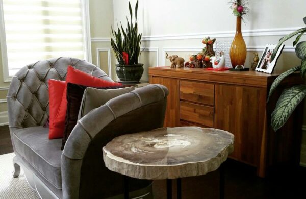 5 Reasons Why Petrified Wood Bali is the Gold Standard for Modern Villa Interiors