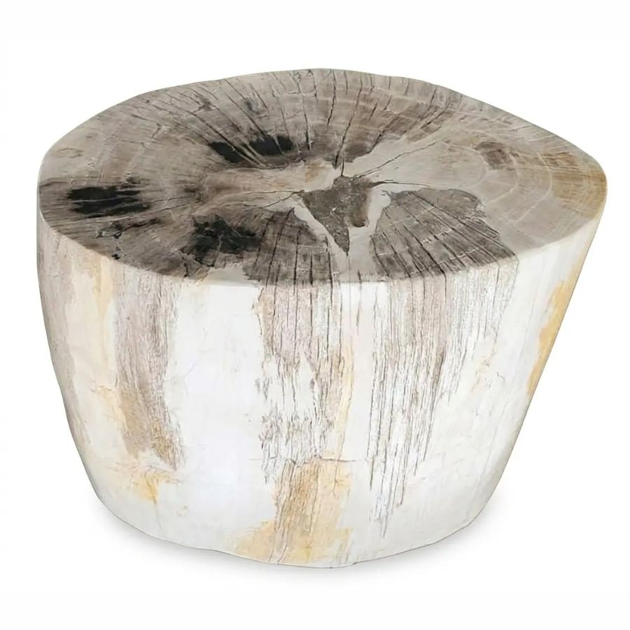 Petrified Wood Stool -ST095