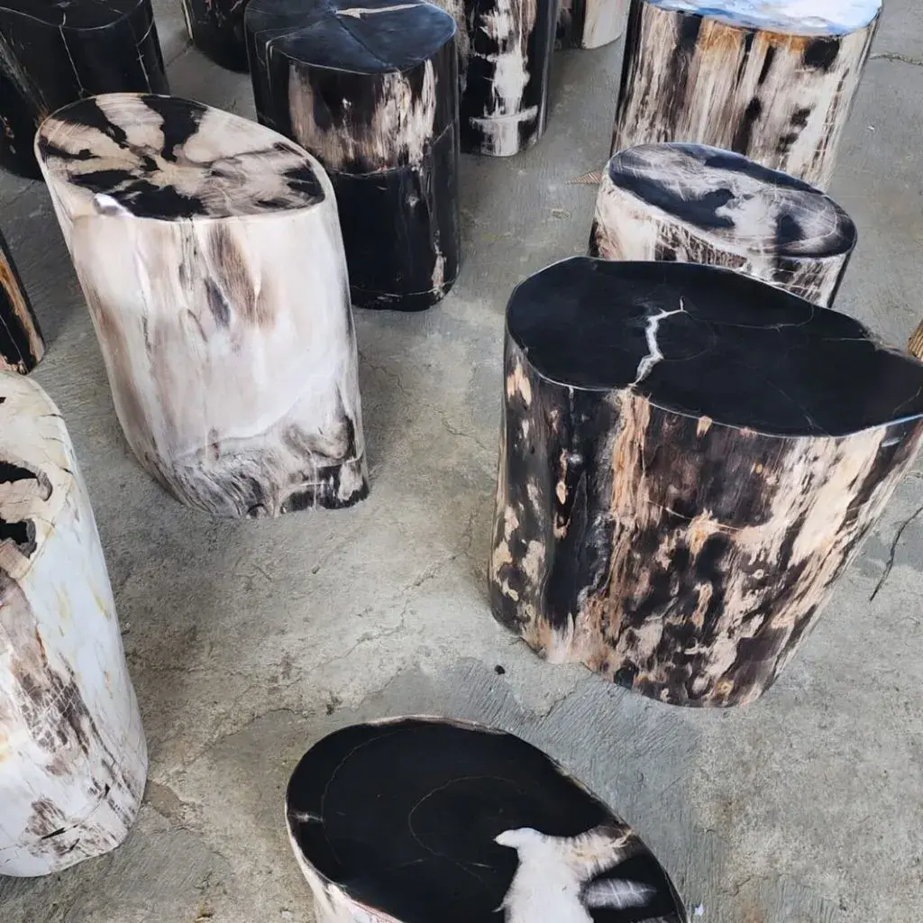 petrified wood stool