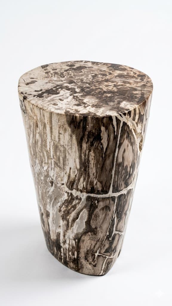 Petrified Wood Stool – ST089