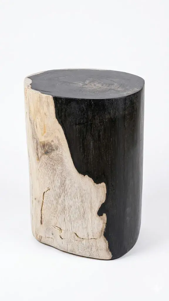Petrified Wood Stool - ST090