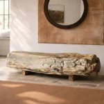 Stone, Yet Wood: The Ergonomic and Exclusive Touch of Petrified Wood in Your Design