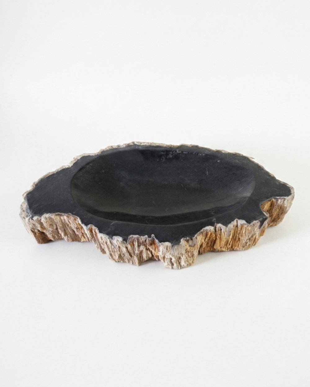 Petrified Wood Ashtray - AS022