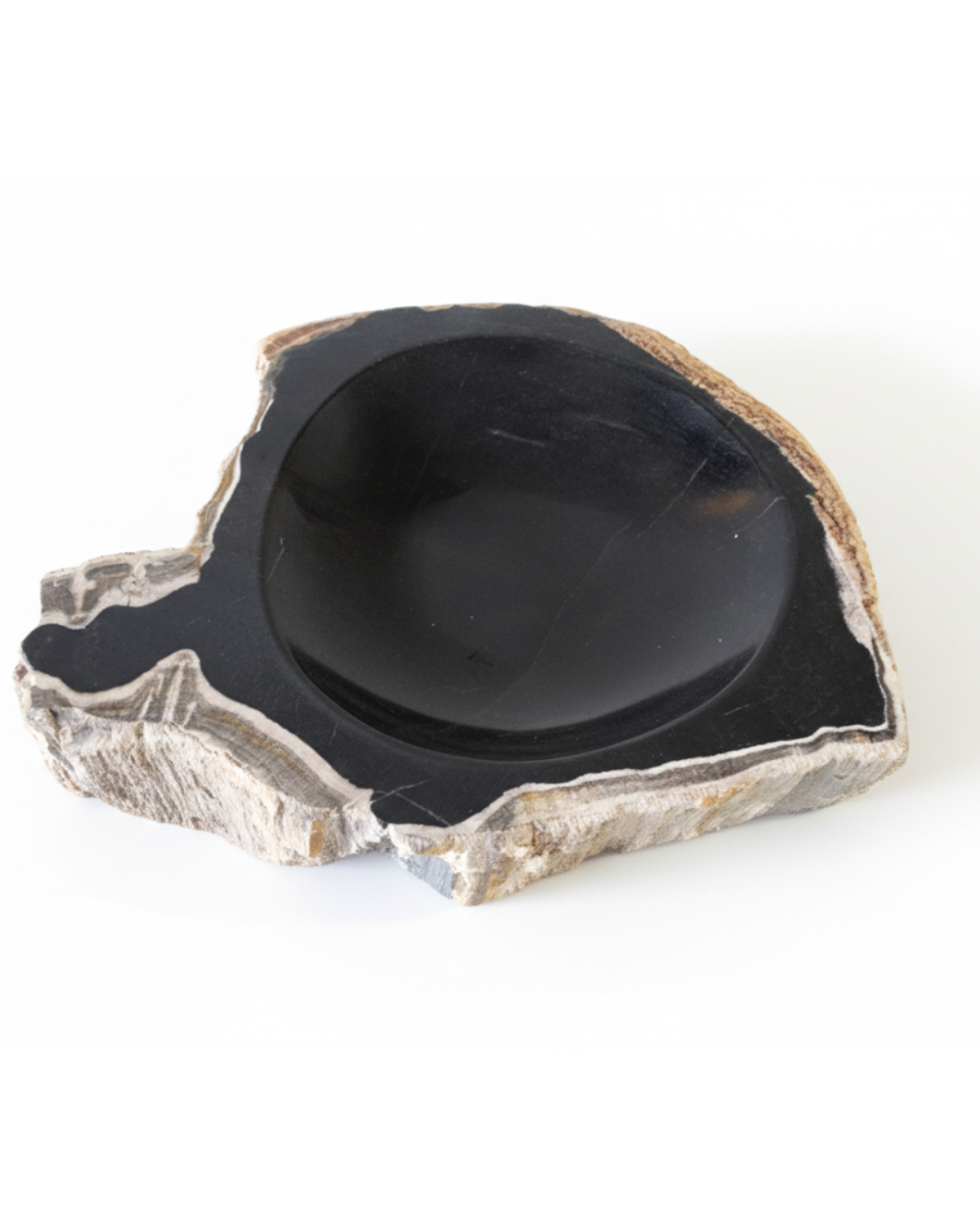Petrified Wood Ashtray - AS024