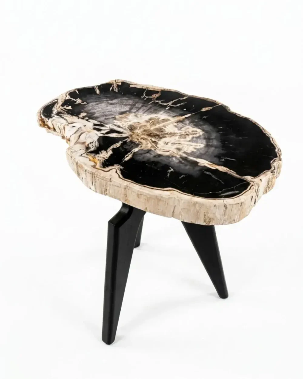 Petrified Wood Coffee Table – TB100