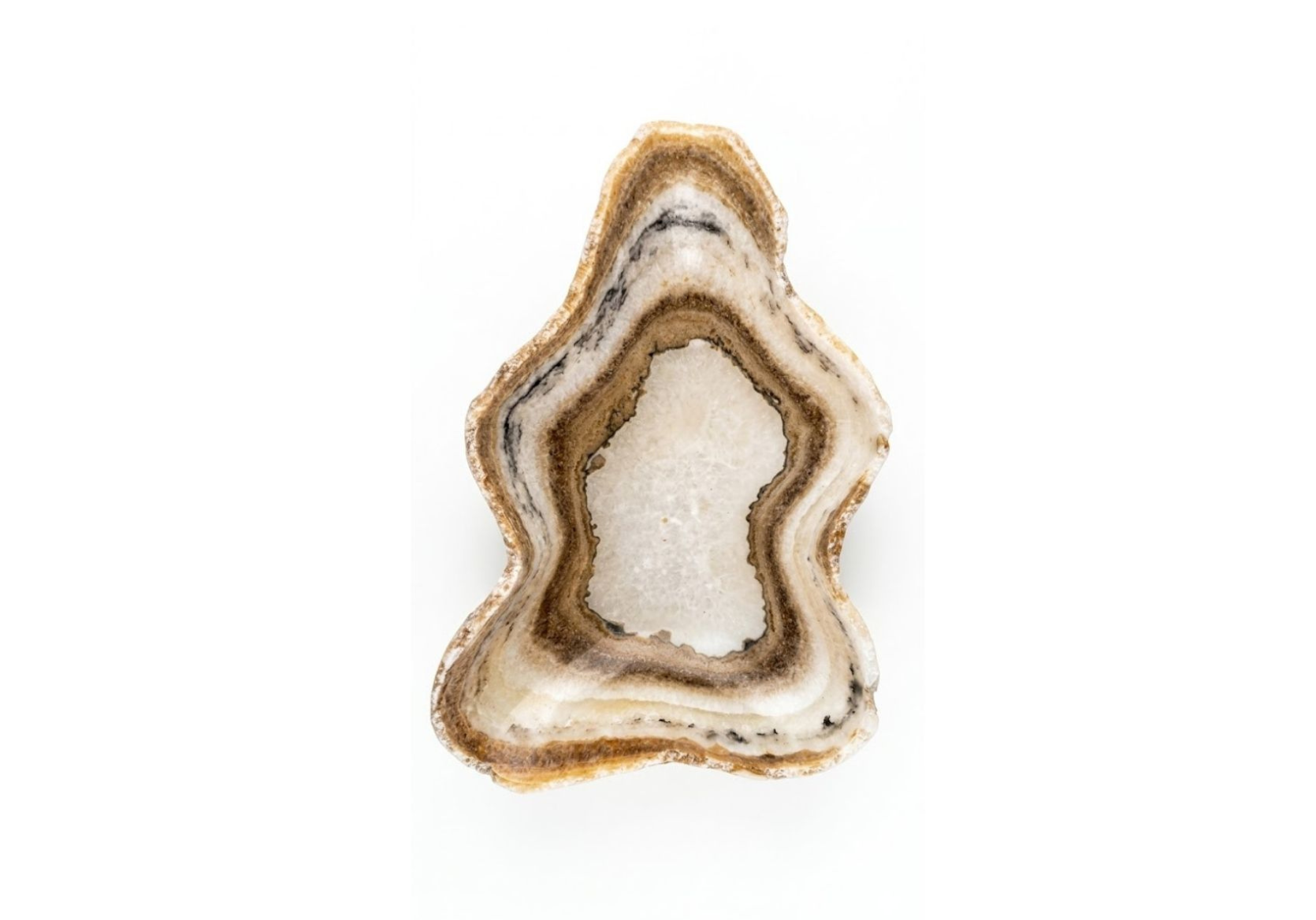 Untitled design (10)