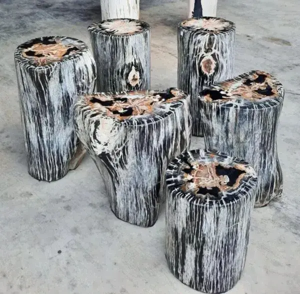 How to Care for Petrified Wood Furniture Properly
