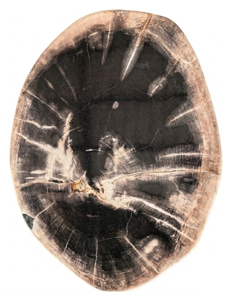 Petrified Wood Stool – ST106