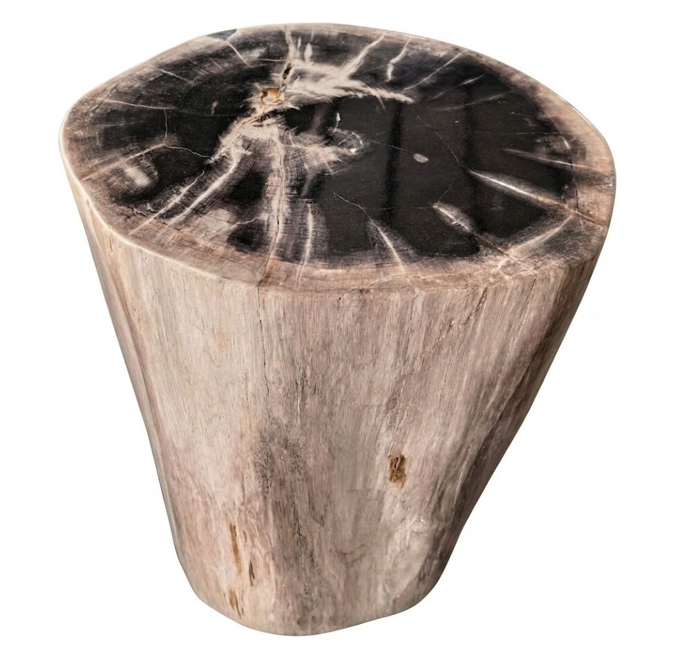 Petrified Wood Stool – ST106