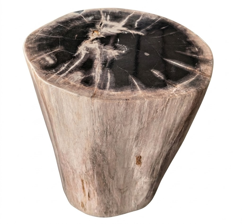 Petrified Wood Stool – ST106