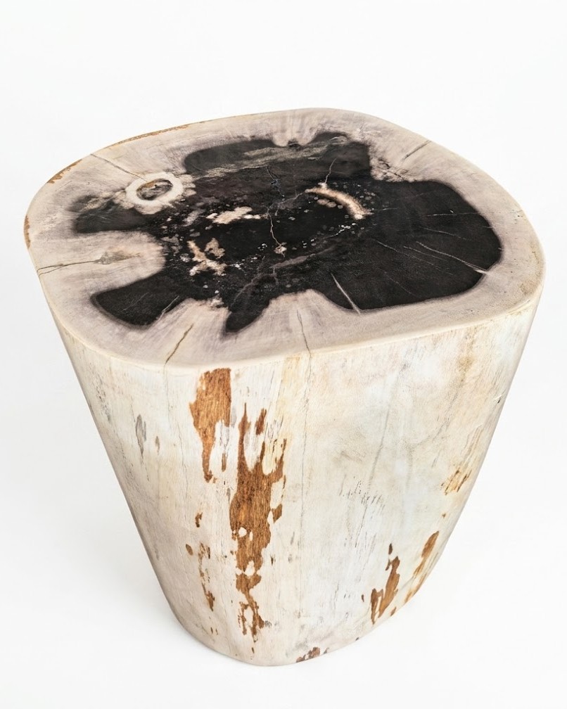 Petrified Wood Stool – ST104