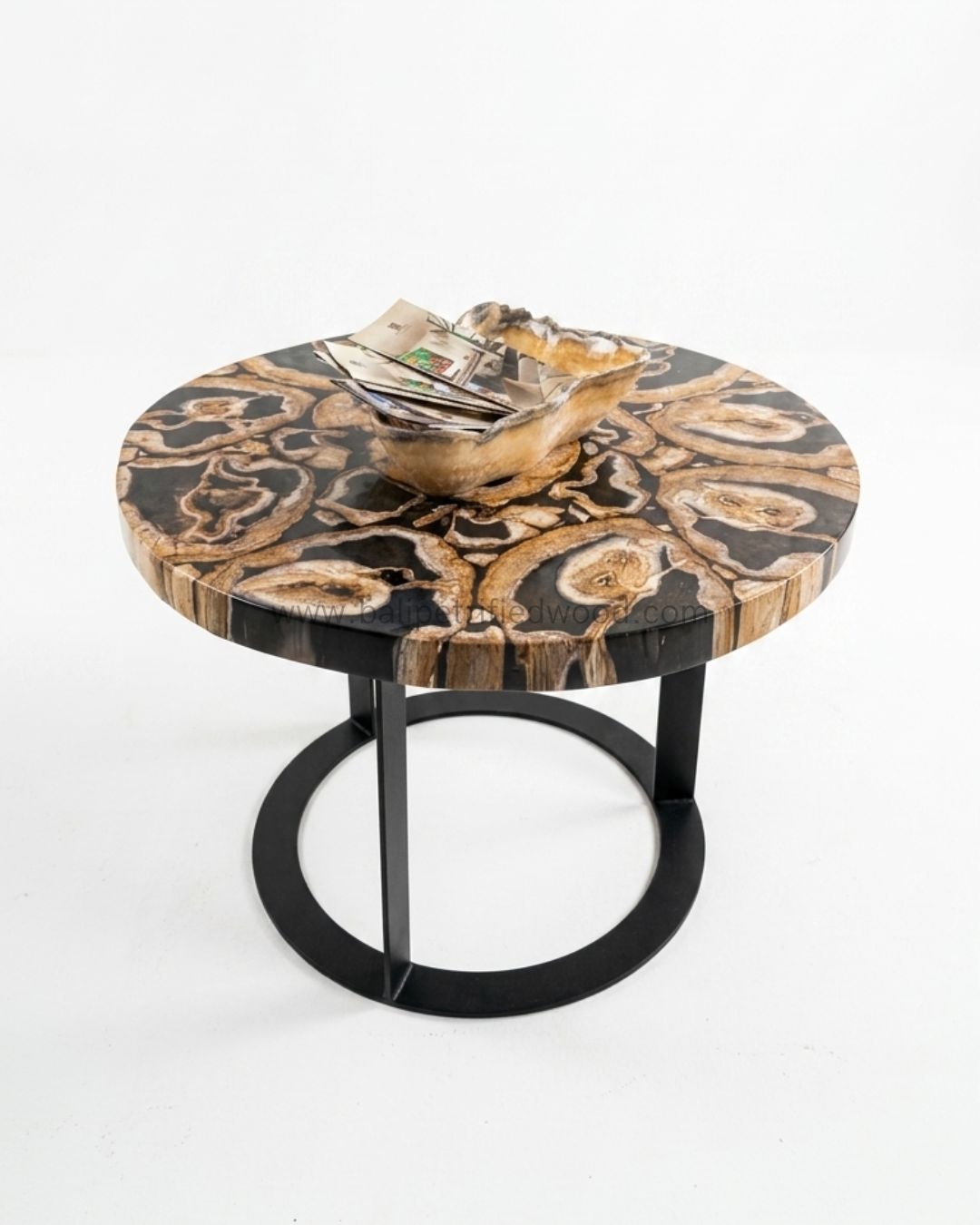 Petrified Wood Coffee Table – TB098