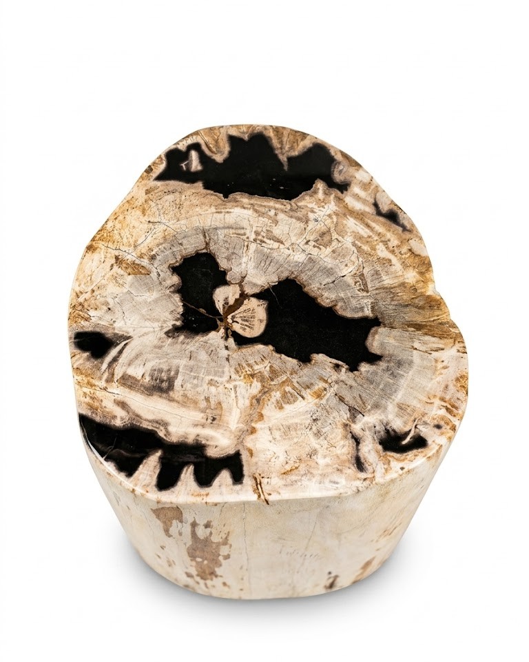 Petrified Wood Stool – ST105