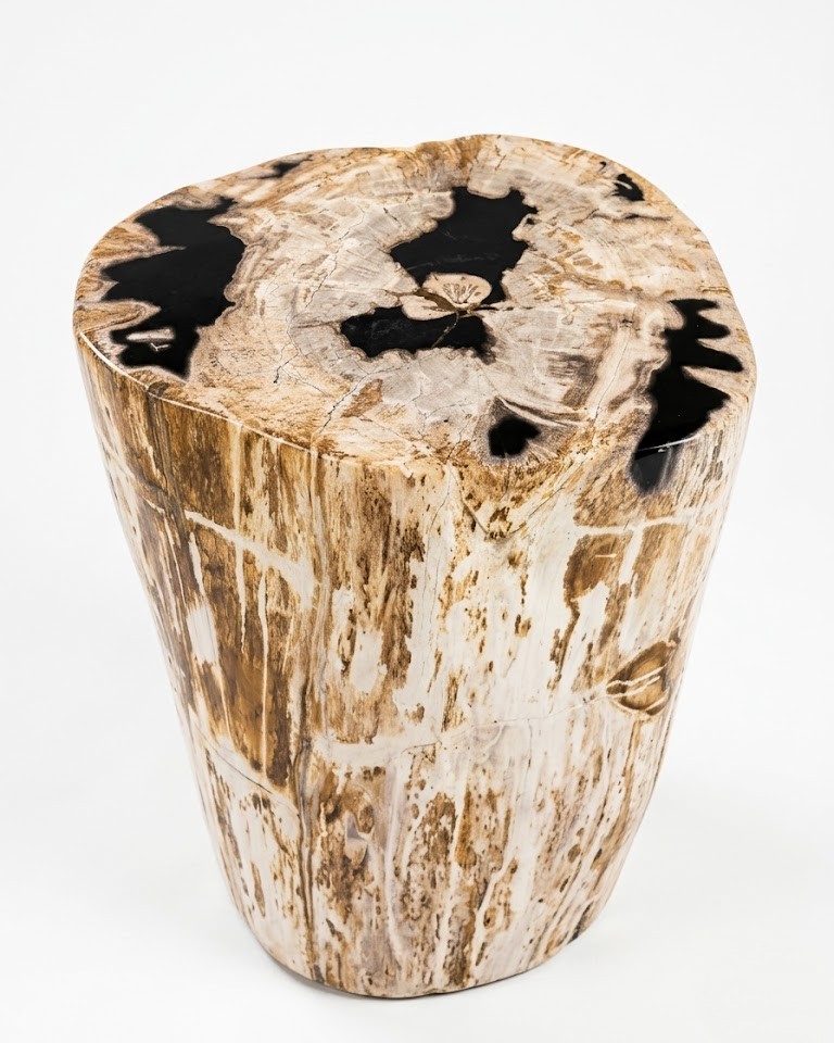 Petrified Wood Stool – ST105