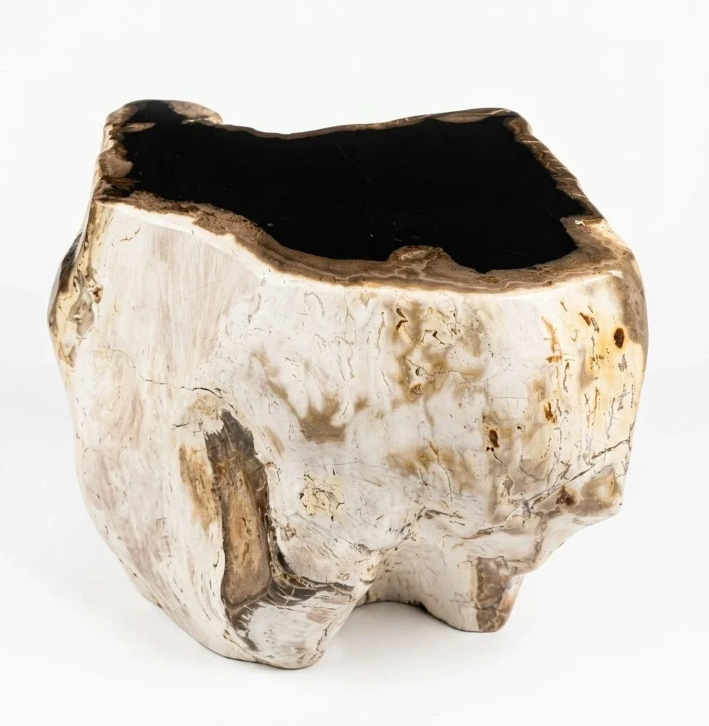 Petrified Wood Stool – ST096