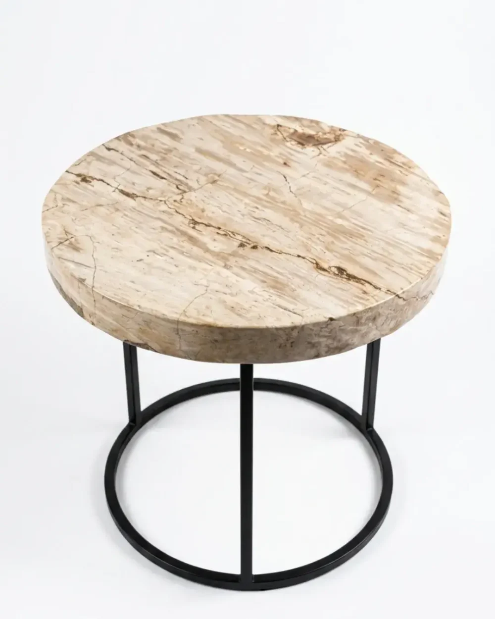 Petrified Wood Coffee Table – TB109