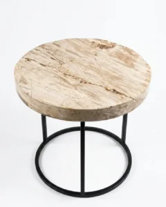Petrified Wood Coffee Table – TB109