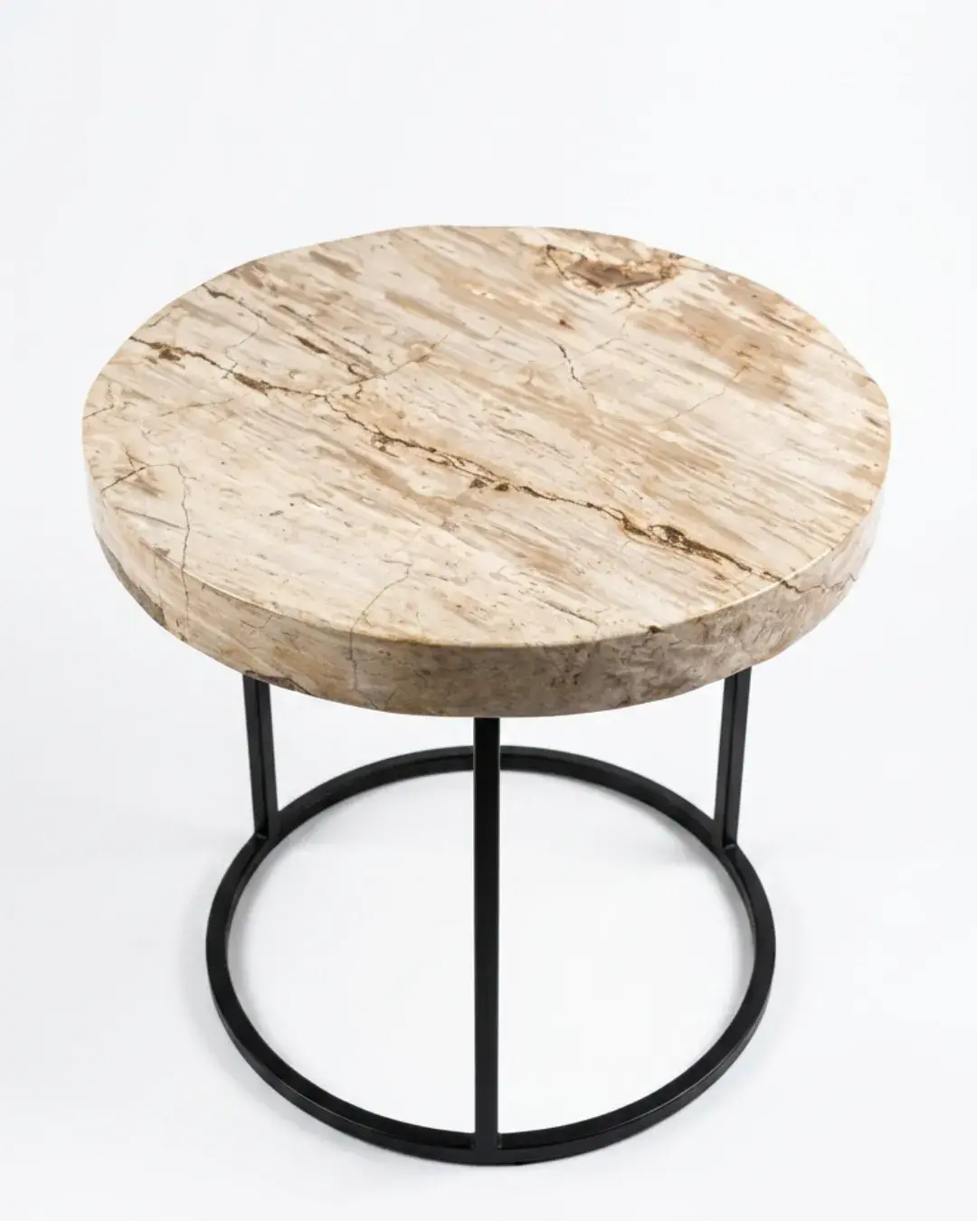 Petrified Wood Coffee Table – TB109