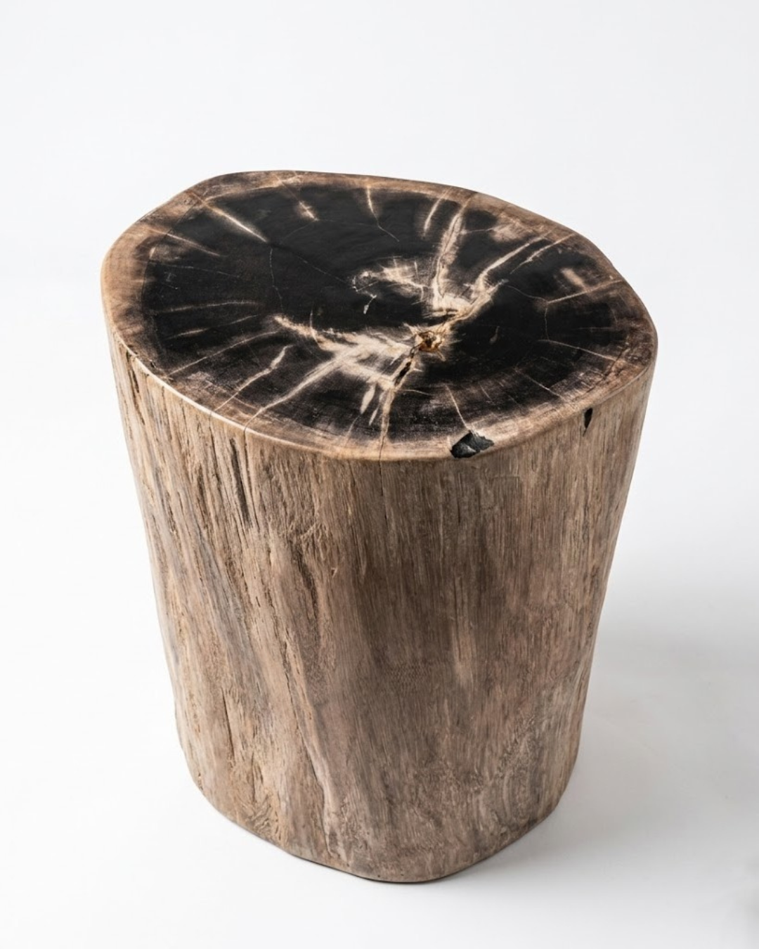 Petrified Wood Stool – ST106